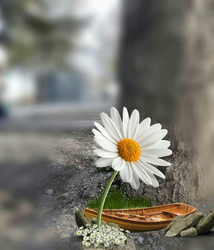 تنهایی