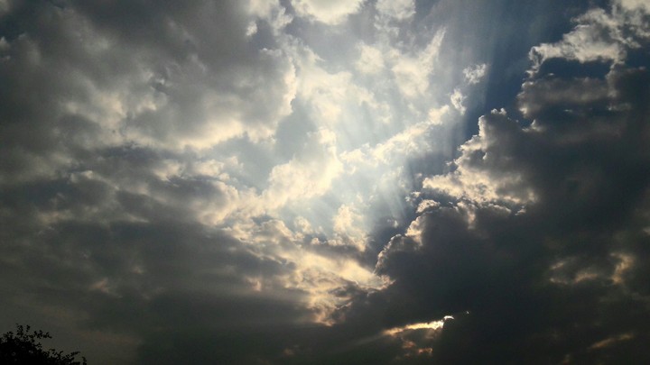 Rays