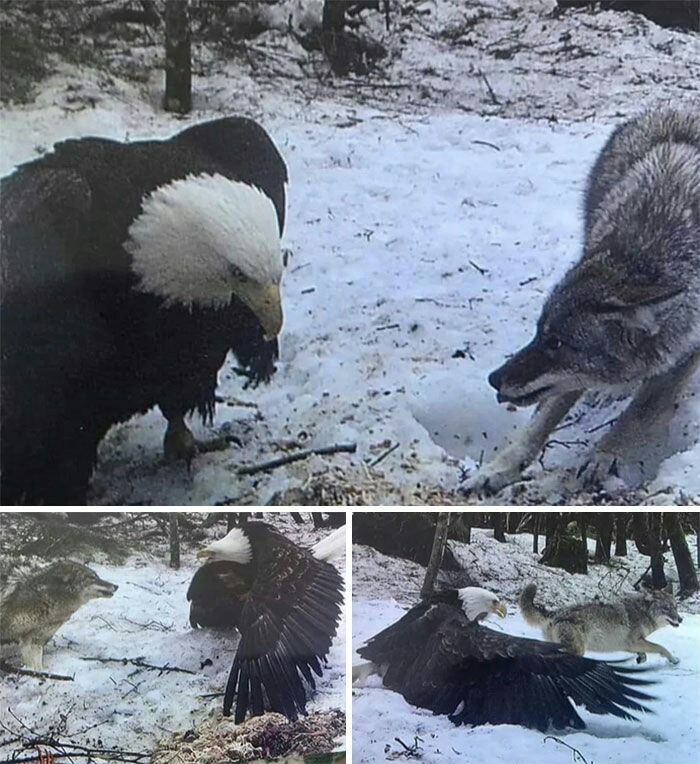 һѧяקʏ ċȏʟʟєċṭıȏṅś
