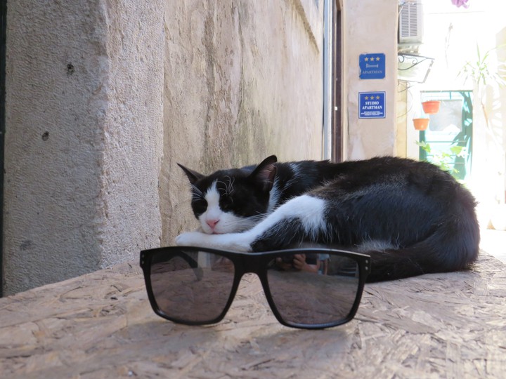 nap time for the lovely cat