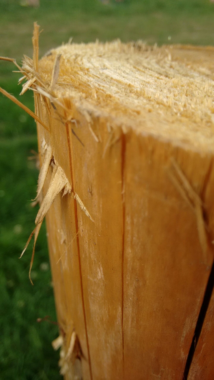 Log