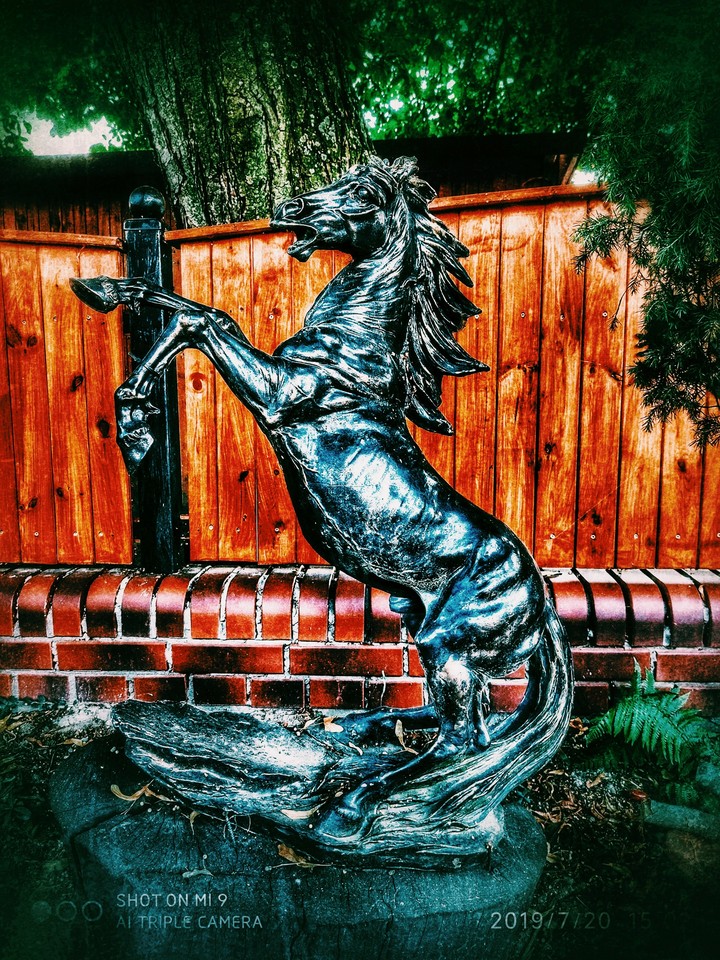 Fantastic horse