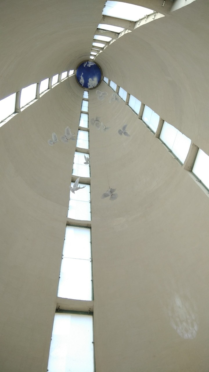 Flying Birds