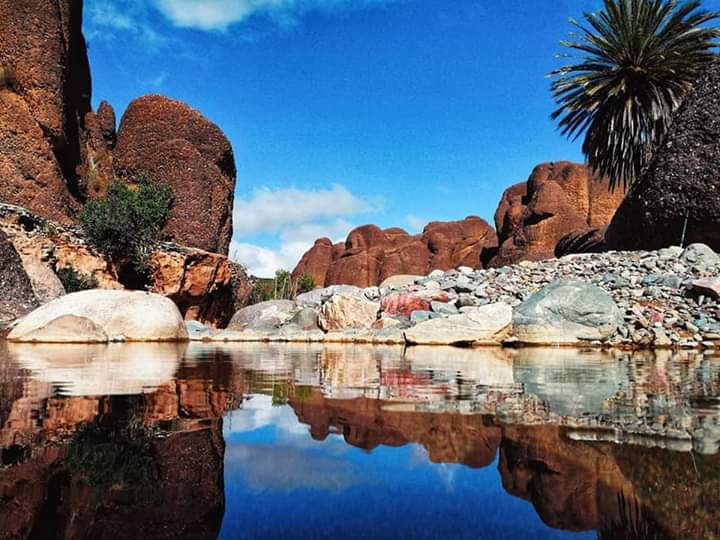 nature in Morocco⭐⭐⭐