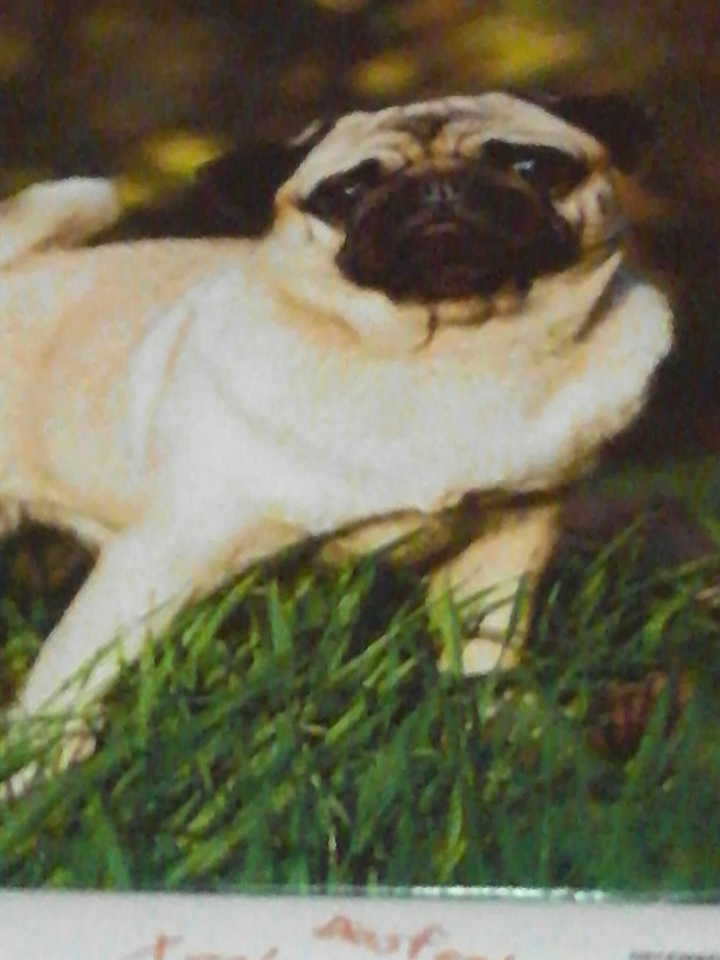 What is that? an OVNI! Only iluminaties! Oh my god!