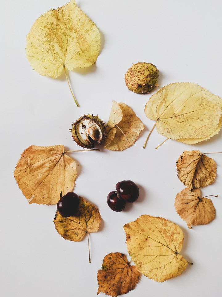 autumn