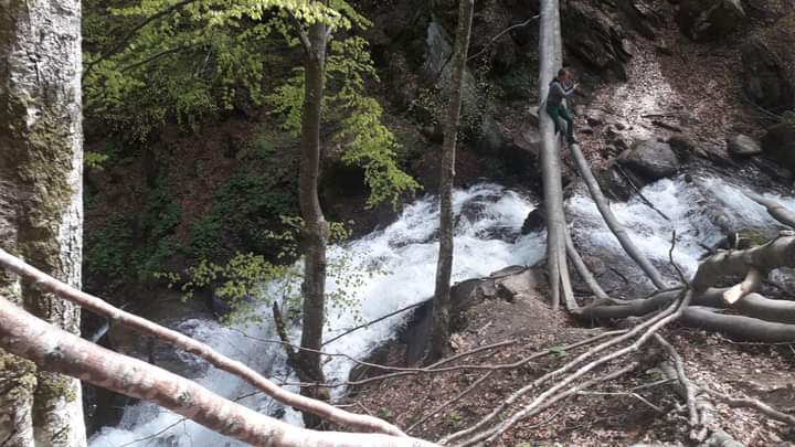 Transcarpathia