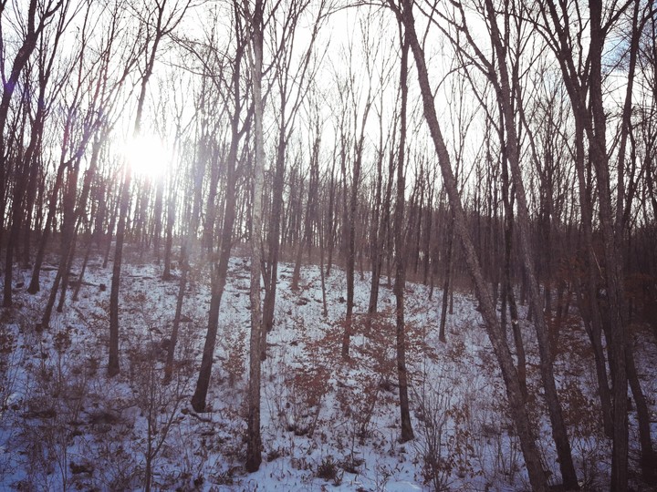winter