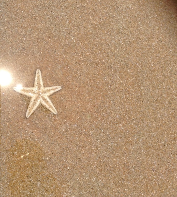 Summer break!