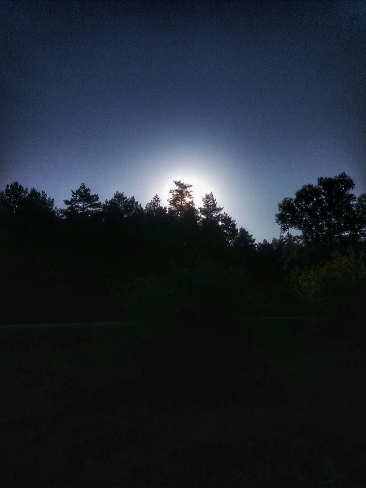 morning