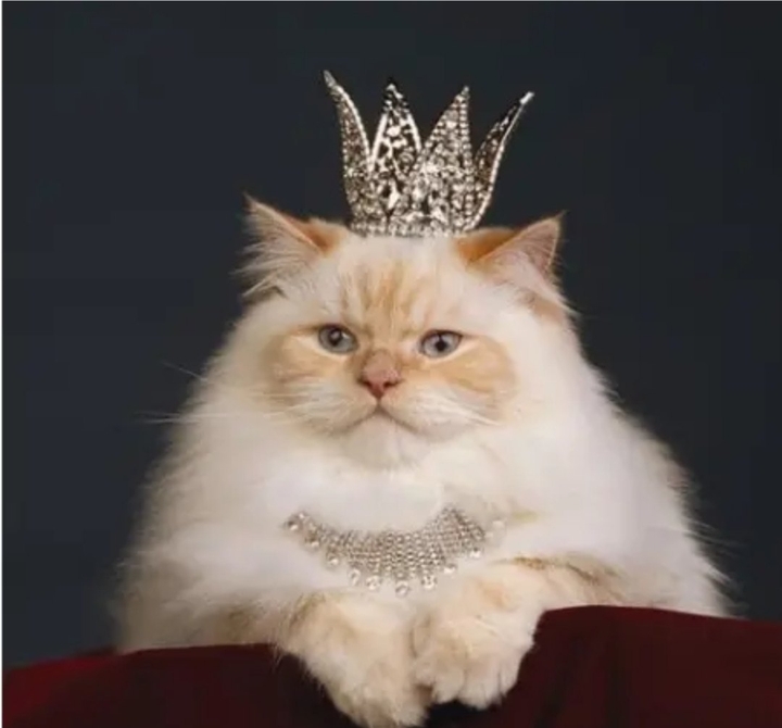 Прынцесса, нет - королевна!
