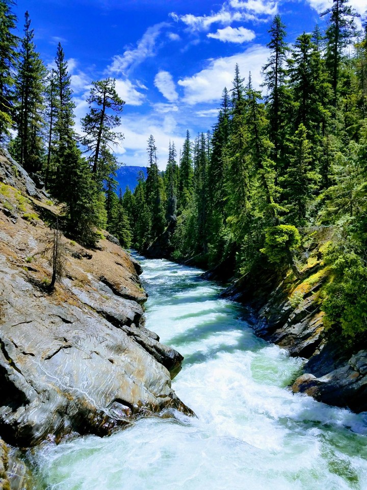 Washington