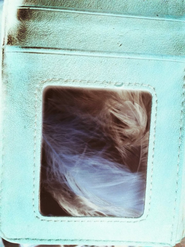 love the feathers