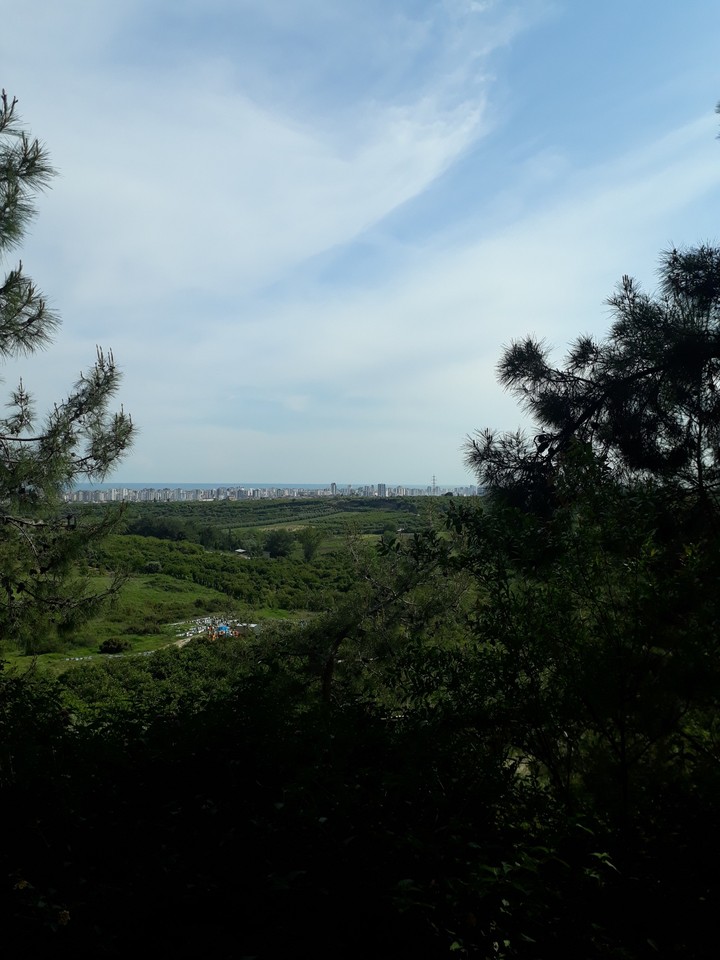 nature