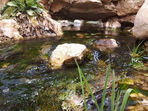 רקעים stream, watercourse