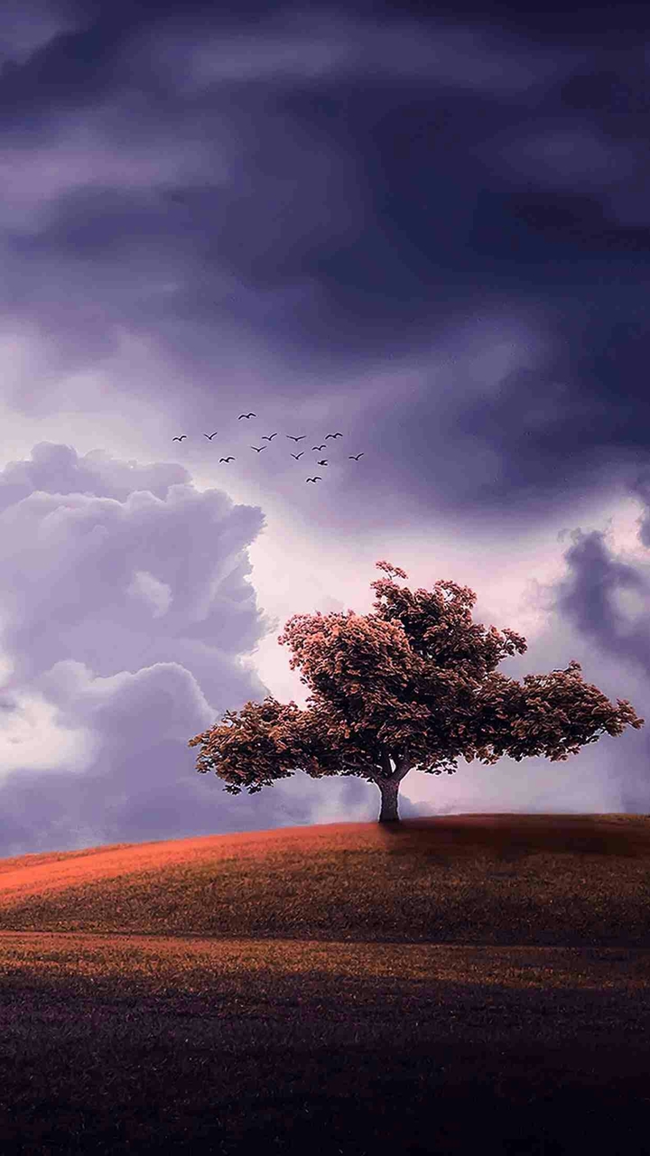 a fight between clouds and the nature