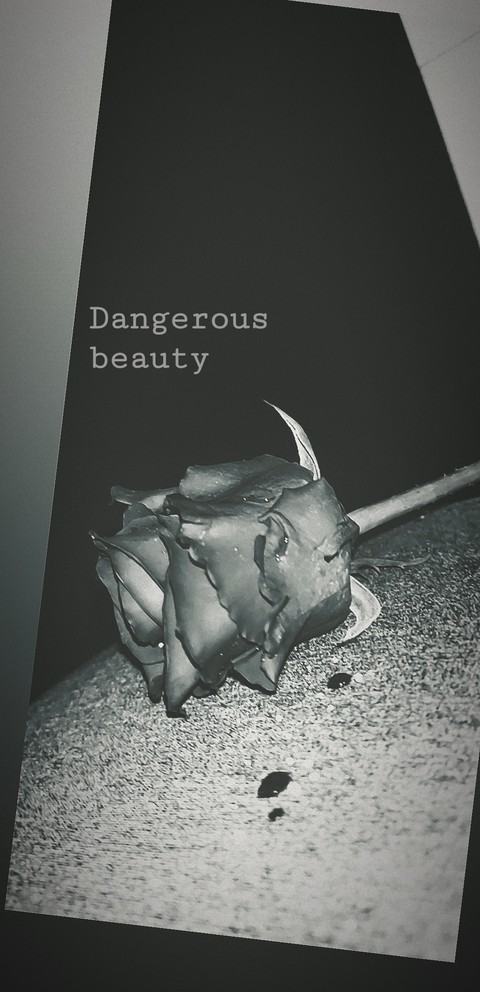 poster, black-and-white wallpapers
