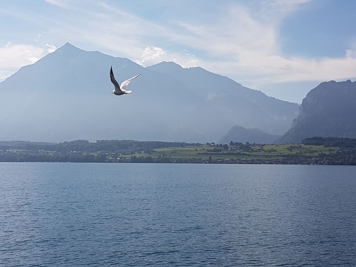 Schweiz