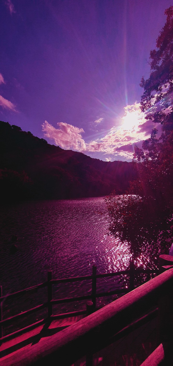 purple nature