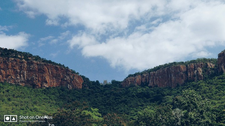 Tirupati Beauty by Vaibhav Awghate