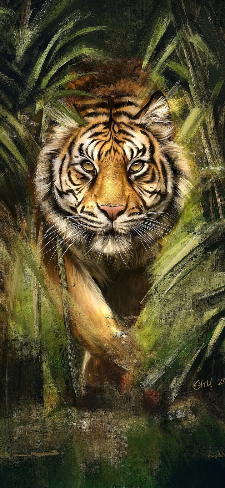 tiger