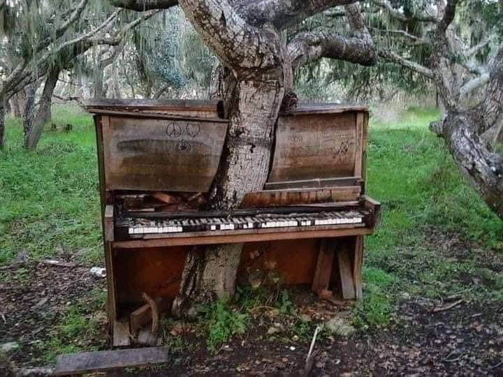 nature