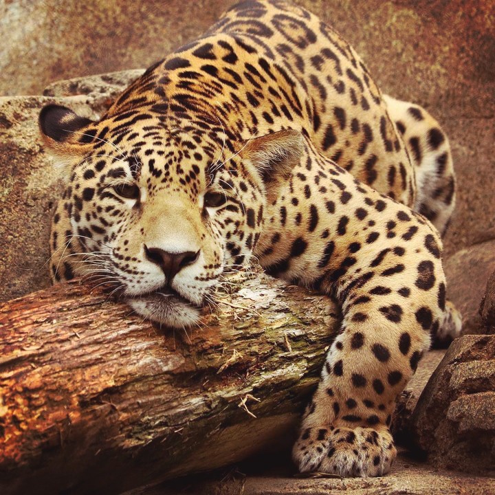 relax.