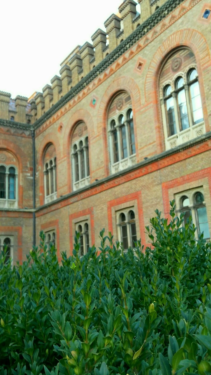 Castle