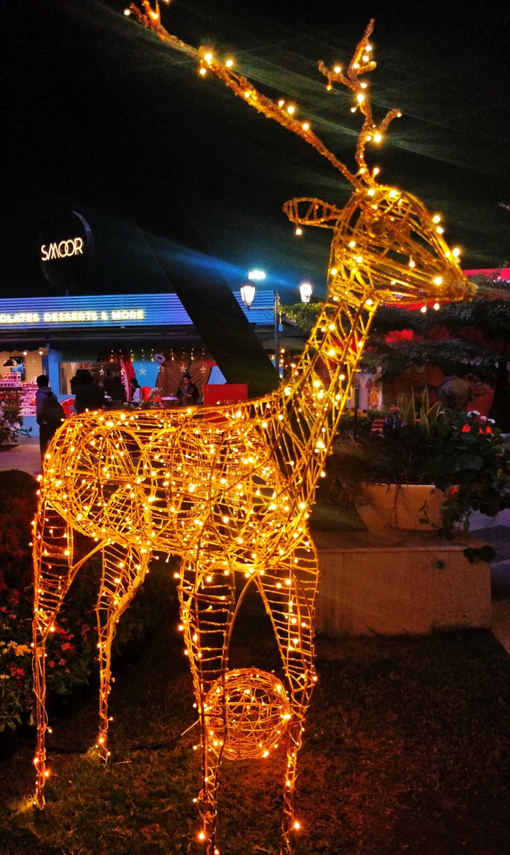 LED Acrylic Reindeer