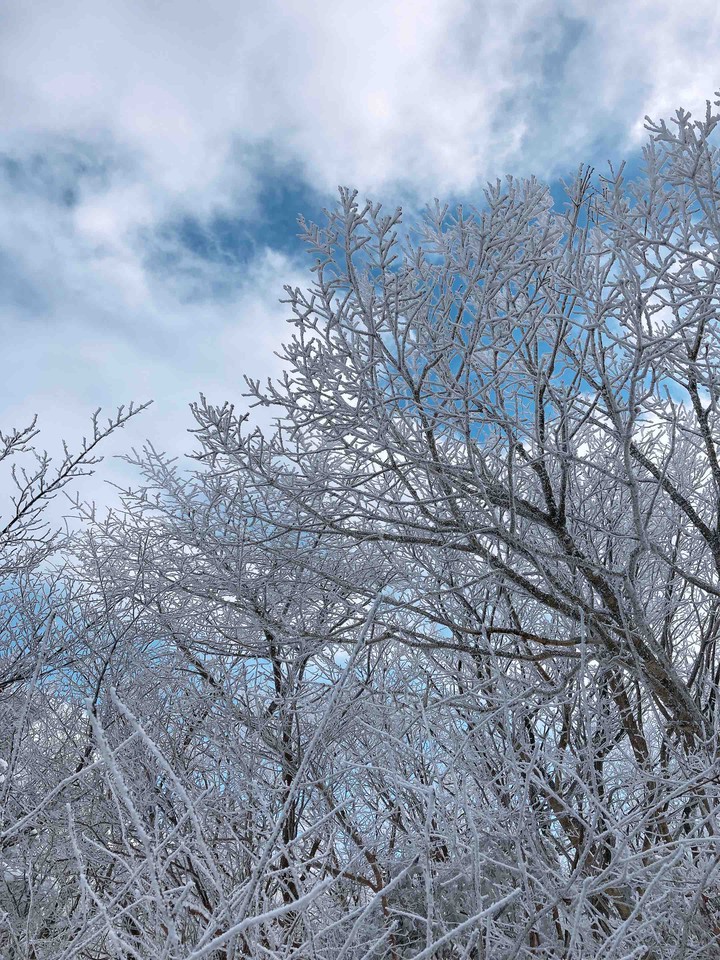 snow