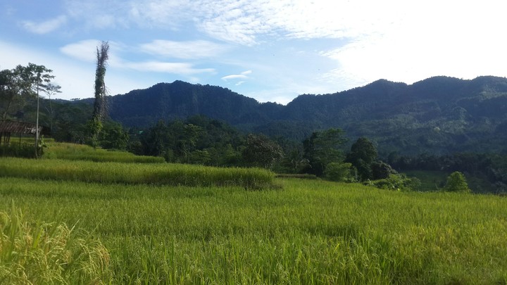 lembah luhur