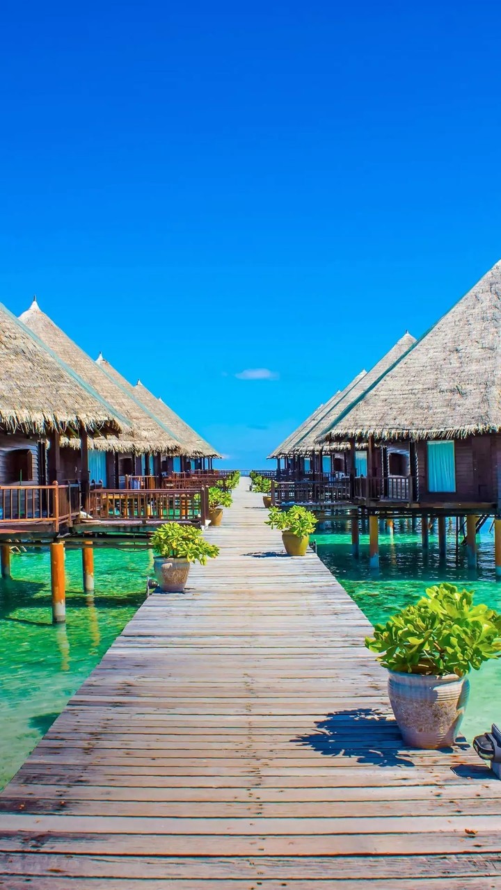 Maldives ??