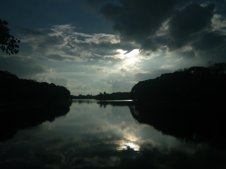 reflection
