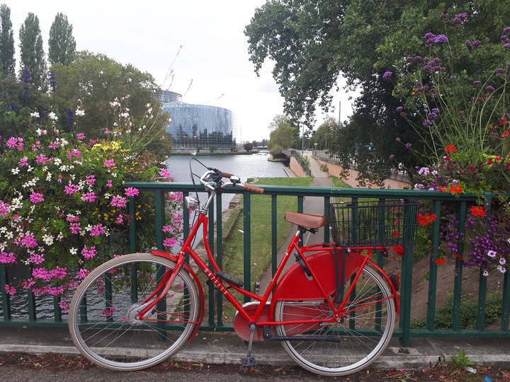 Red bike♡