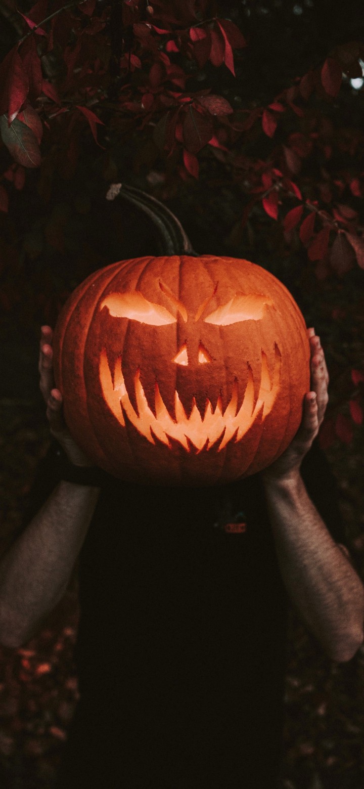 Pumpkin