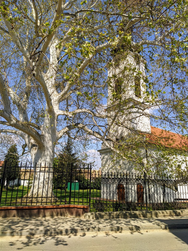 Church