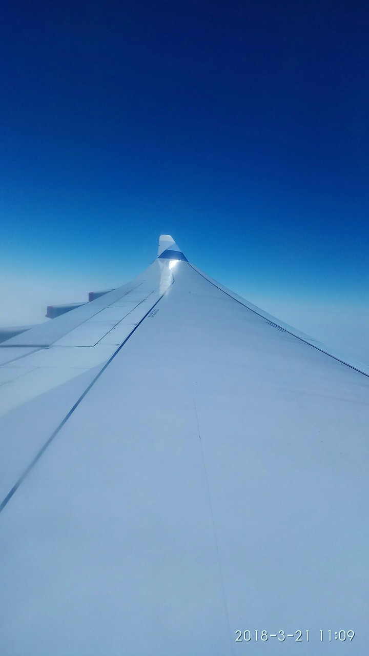 Trip
