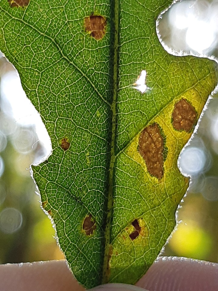 #autumn