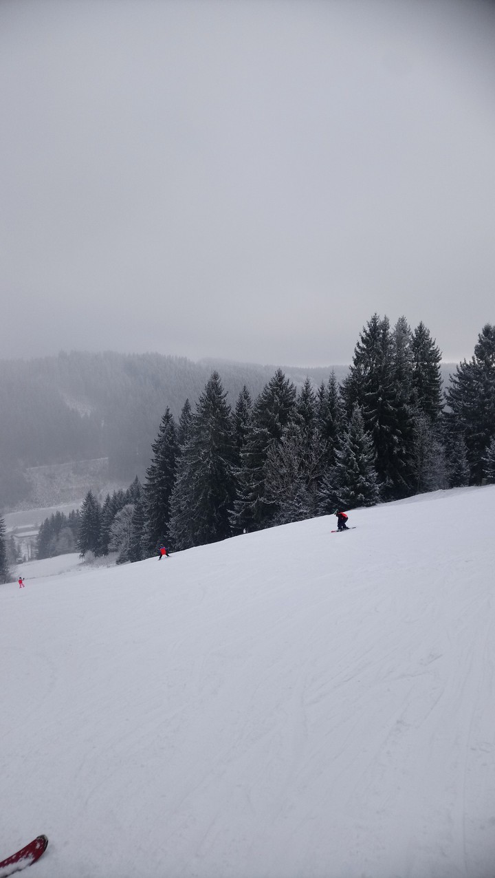 Skiing