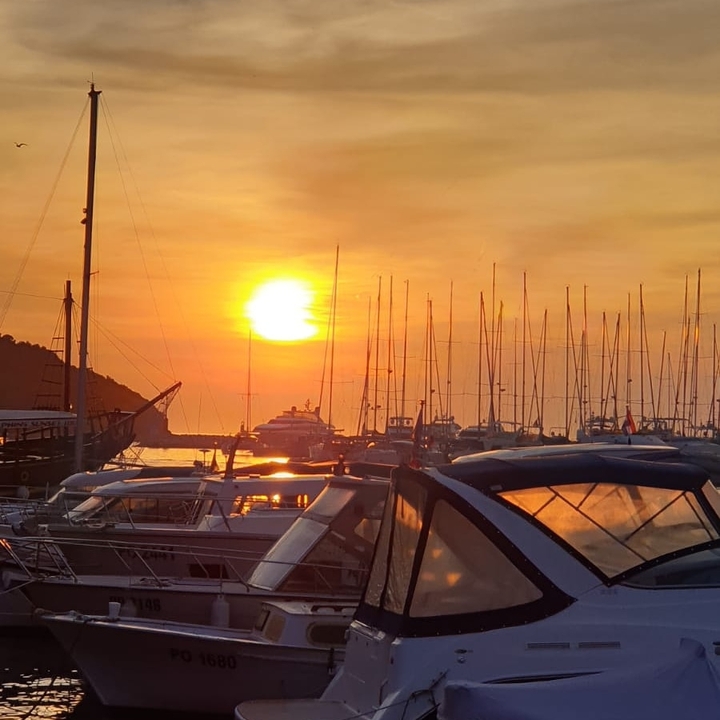 boats