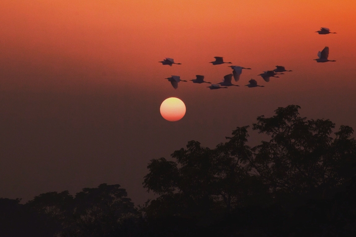 sunset