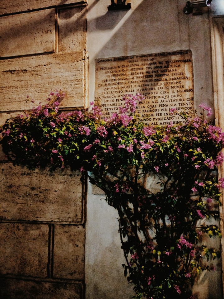Wall