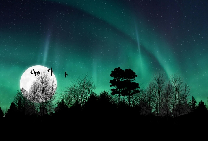 aurora