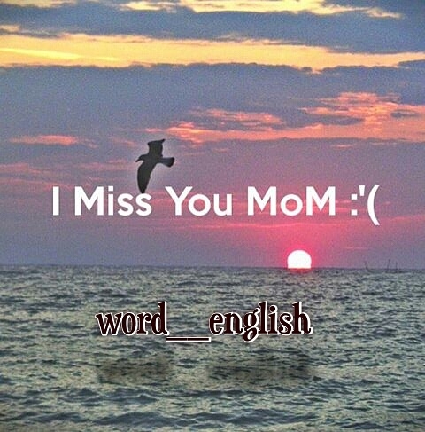 follow in inastagram : @word__english