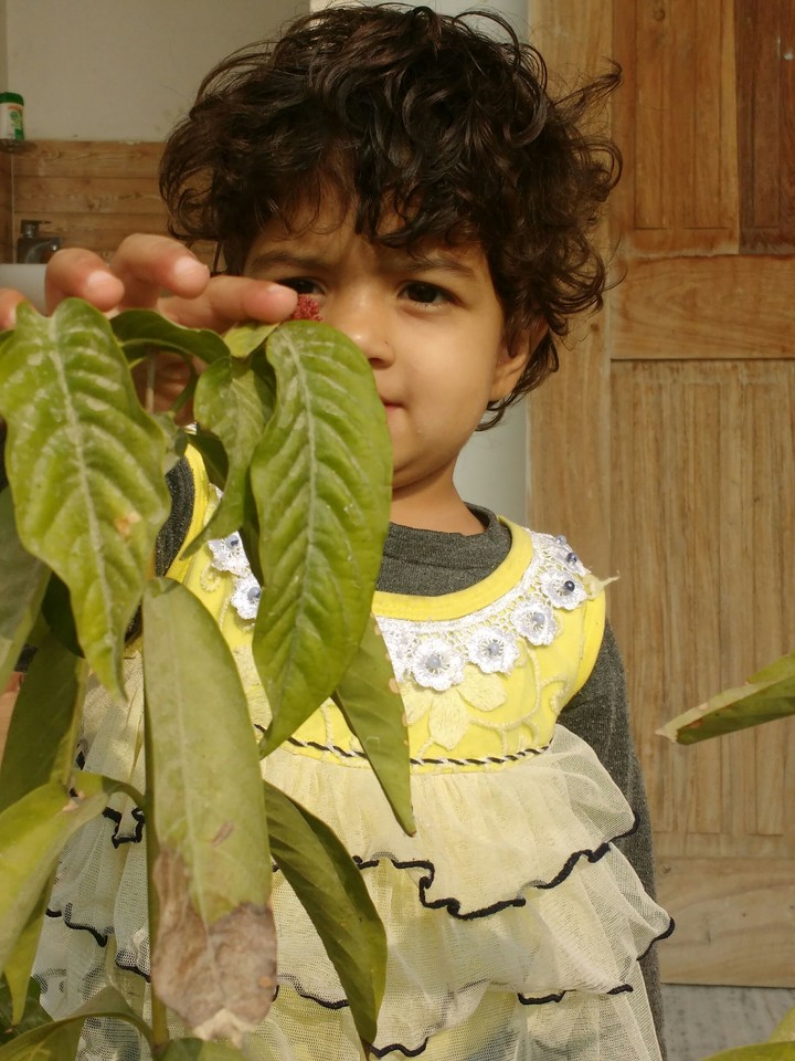 baby Girl with flower