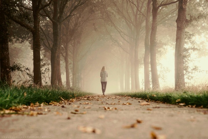 view