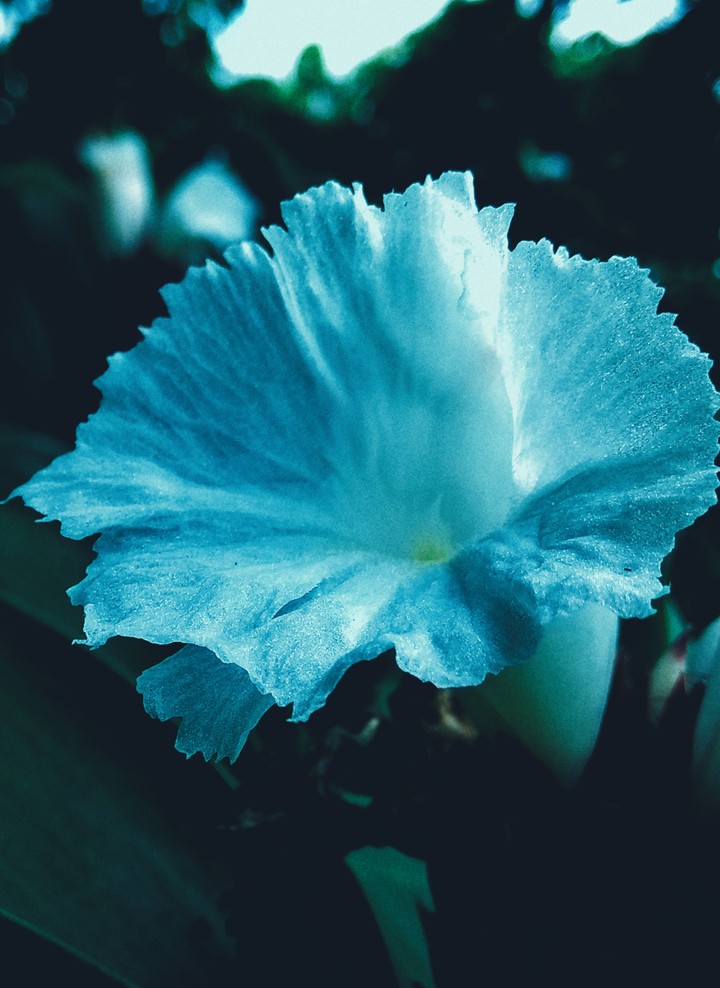 #photography #nature #support