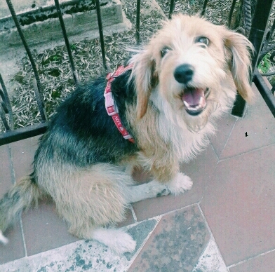 My love