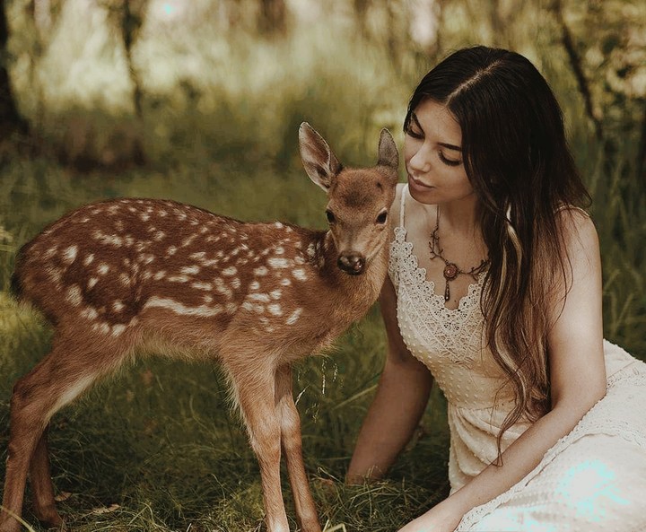 Deer Loved