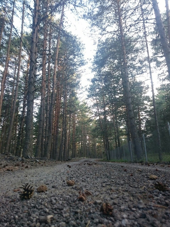 huzur..
